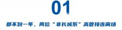 从冯复之到赵永坡：魏牌需要“职业经理人”还