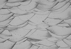 <strong>名古屋大学发明3D打印铝合金新方法 以制造更坚</strong>