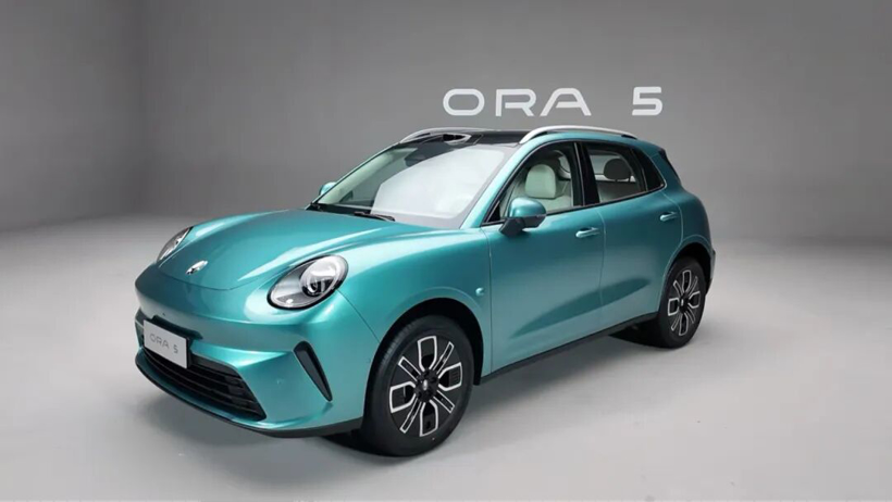 欧拉为何没造出长城的海鸥和星愿?